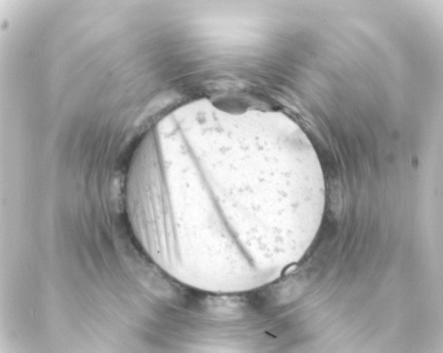 X0000088650378200706221616