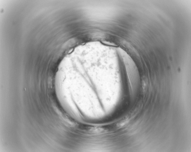 X0000088650379200706221616