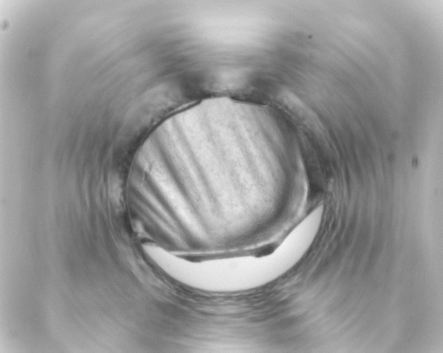 X0000088650380200706221616