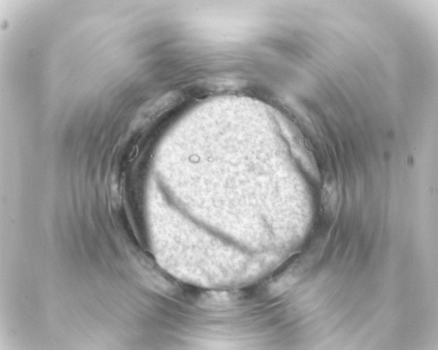 X0000088650381200706221616