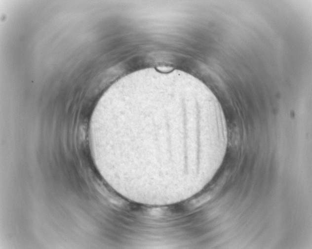 X0000088650382200706221616