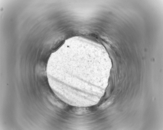 X0000088650384200706221616