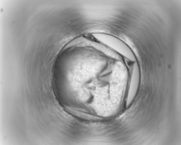 X0000088650385200706221616