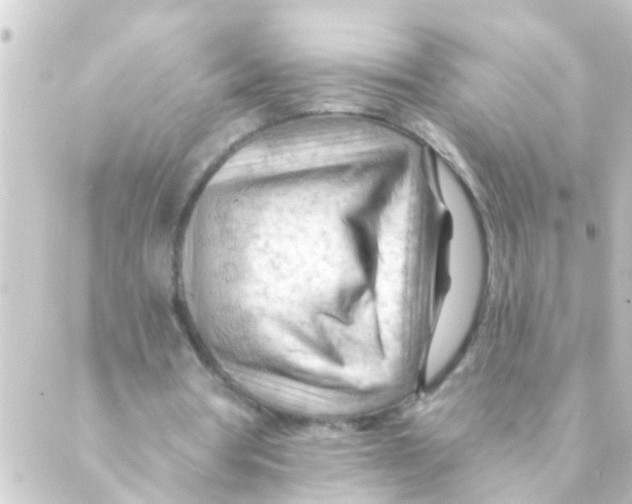 X0000088650386200706221616