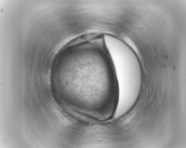 X0000088650387200706221616