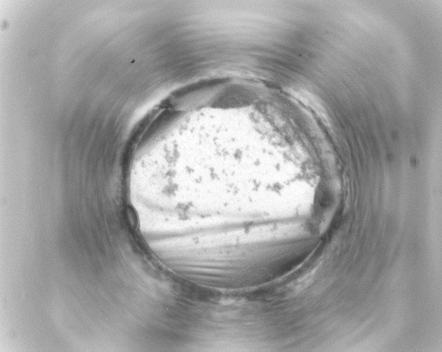 X0000088650388200706221616