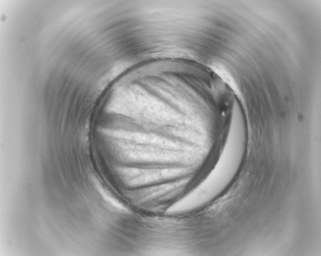 X0000088650389200706221616