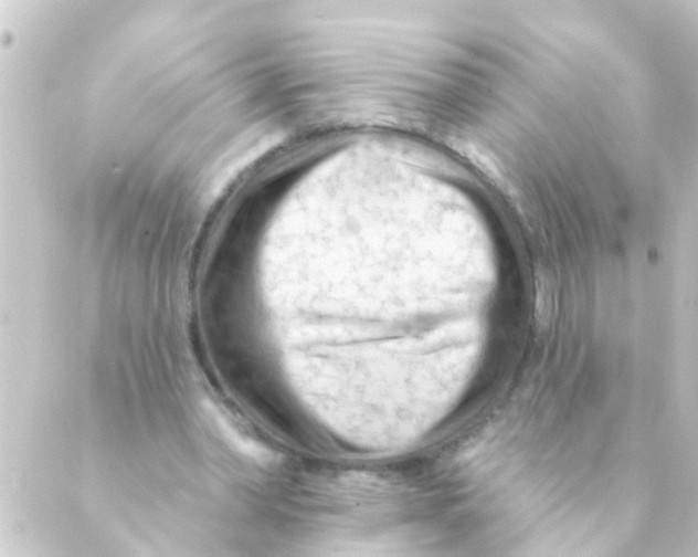 X0000088650390200706221616