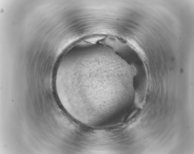 X0000088650391200706221616