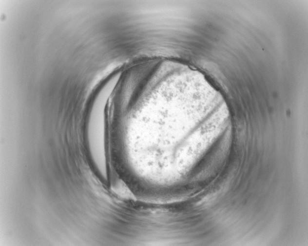 X0000088650395200706221616