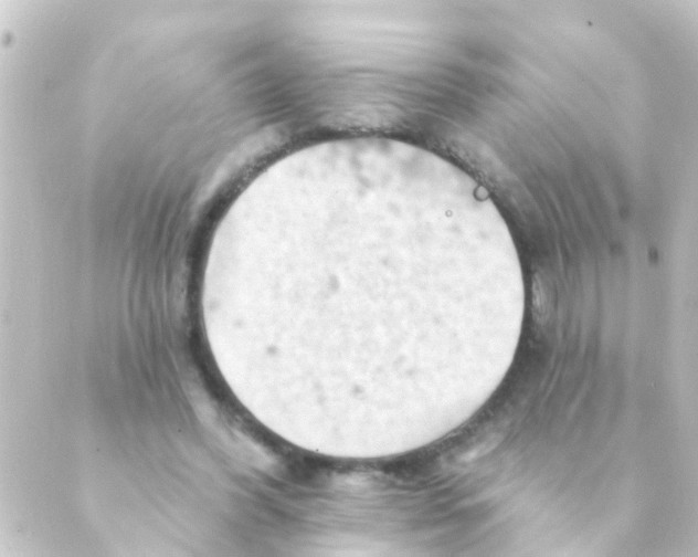 X0000088650396200706221616