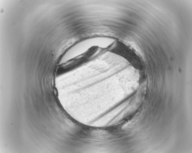 X0000088650397200706221615