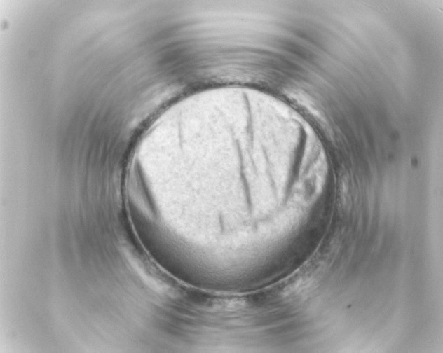 X0000088650398200706221615