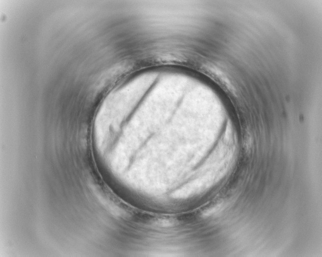 X0000088650402200706221615