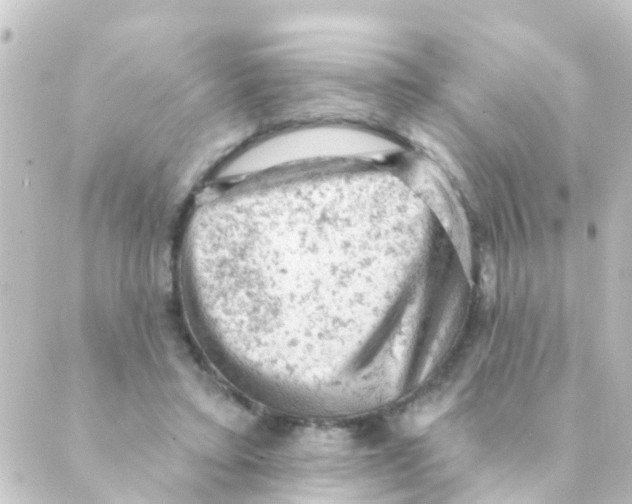 X0000088650403200706221615