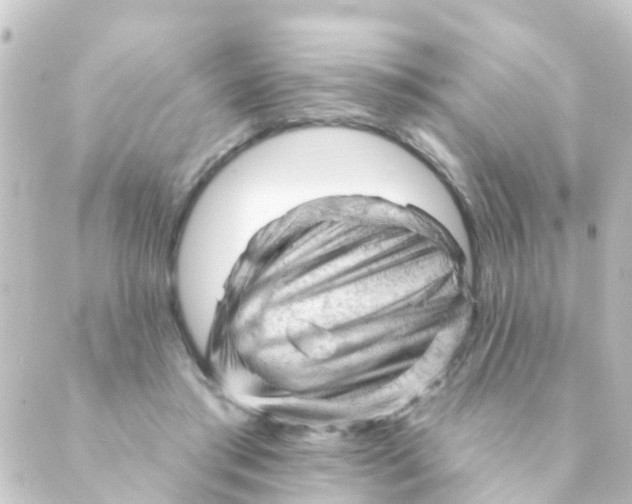 X0000088650405200706221615