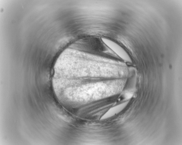 X0000088650407200706221615