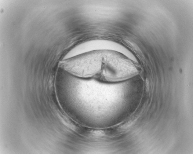 X0000088650409200706221615