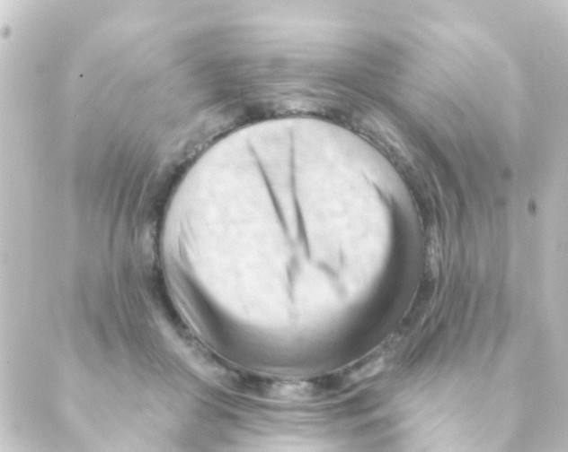 X0000088650410200706221615