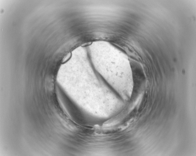 X0000088650413200706221615