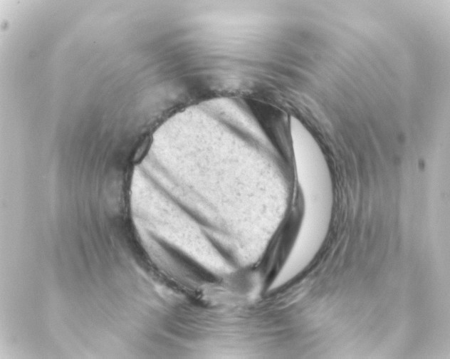 X0000088650416200706221615