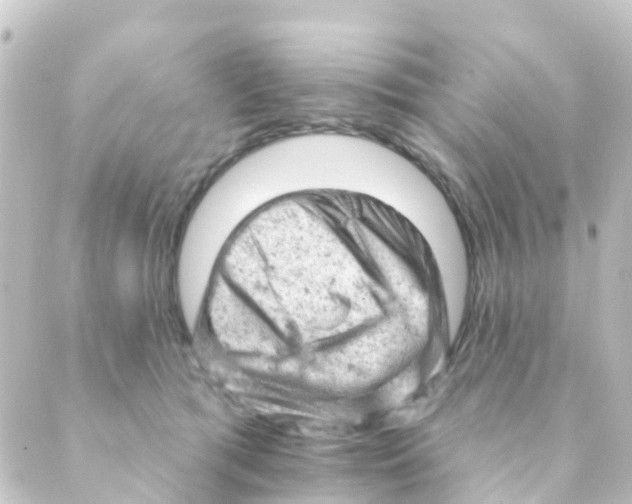 X0000088650417200706221615