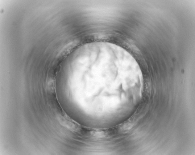 X0000088650419200706221615