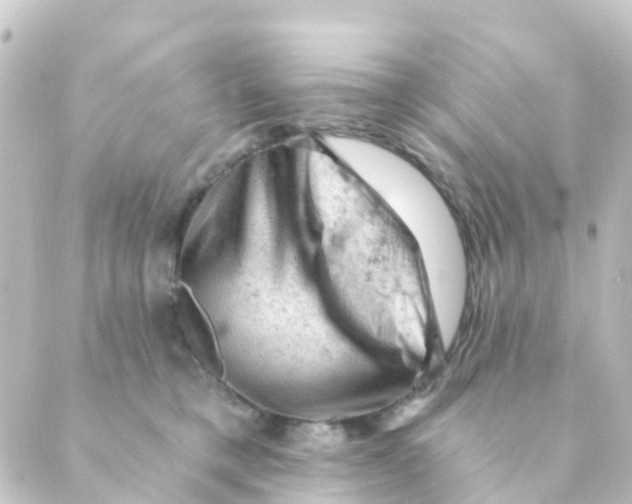 X0000088650421200706221615