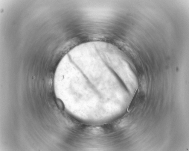 X0000088650427200706221615