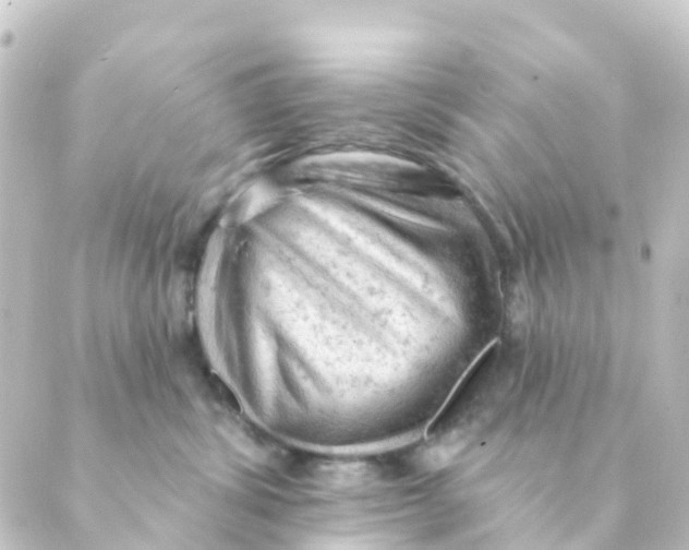 X0000088650428200706221615