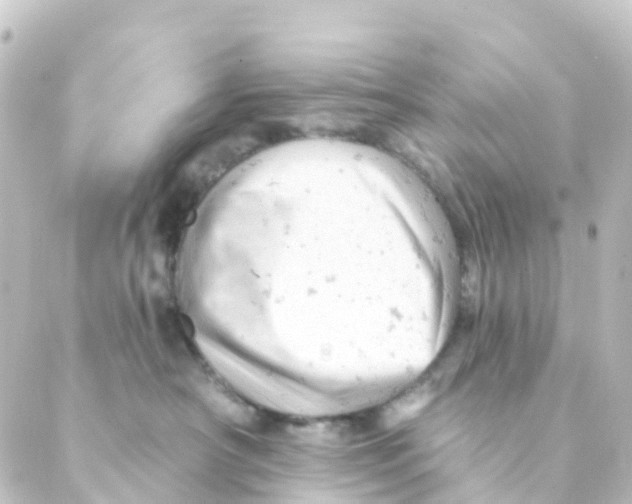 X0000088650430200706221615