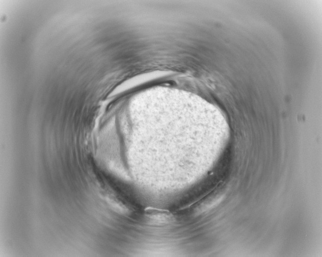 X0000088650432200706221615