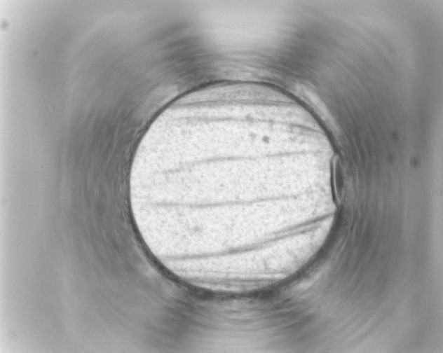 X0000088650433200706221614