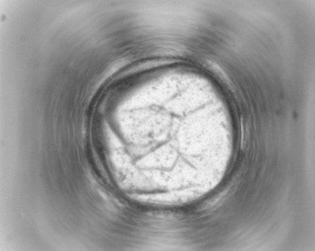 X0000088650435200706221614