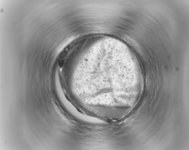 X0000088650436200706221614