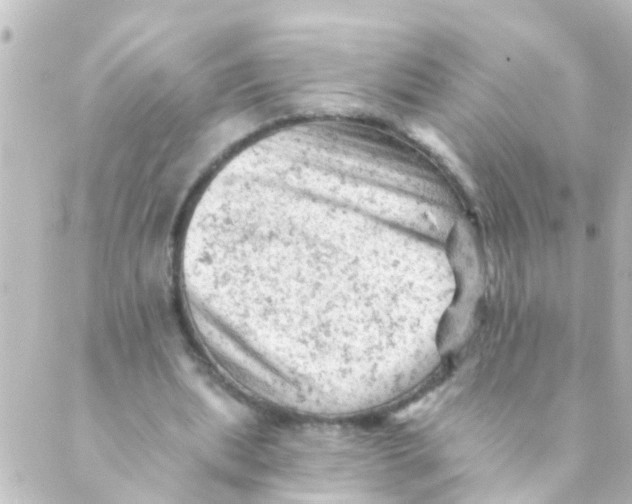 X0000088650439200706221614