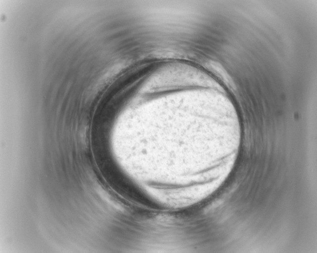 X0000088650441200706221614