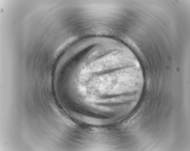 X0000088650442200706221614