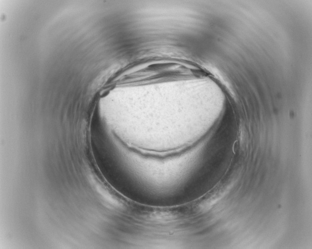 X0000088650445200706221614