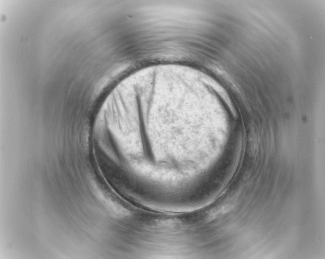 X0000088650446200706221614