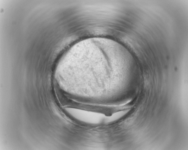 X0000088650447200706221614