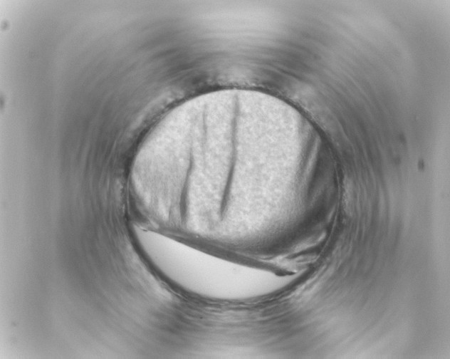 X0000088650449200706221614