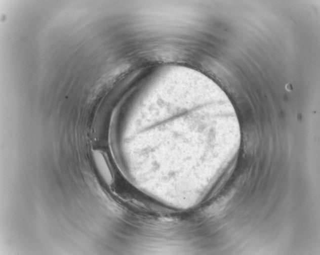 X0000088650453200706221614