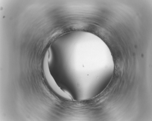 X0000088650454200706221614