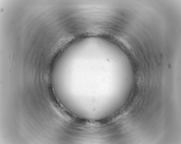 X0000088650455200706221615