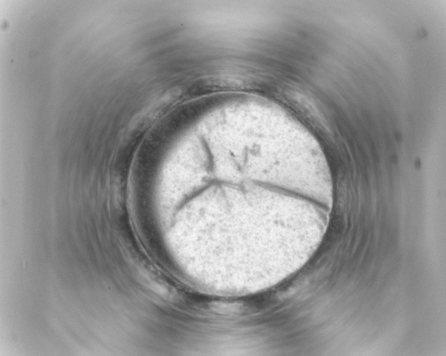 X0000088650457200706221615