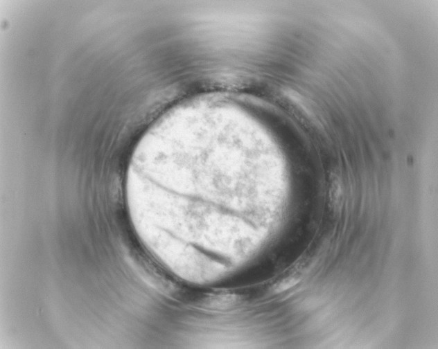 X0000088650459200706221615