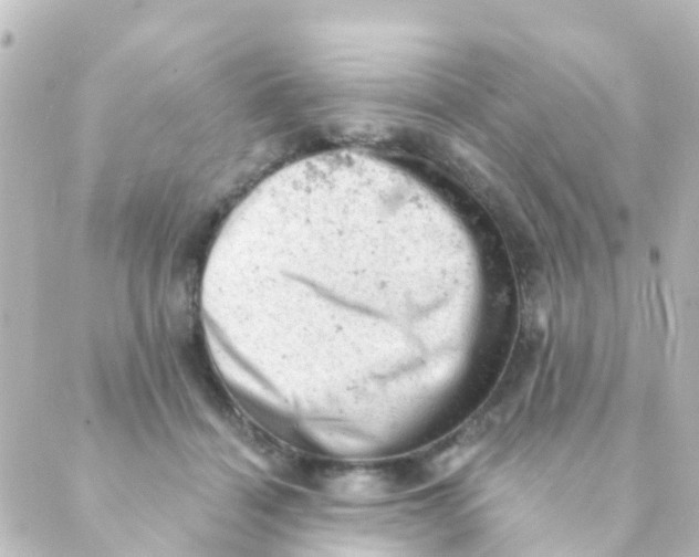 X0000088650460200706221615