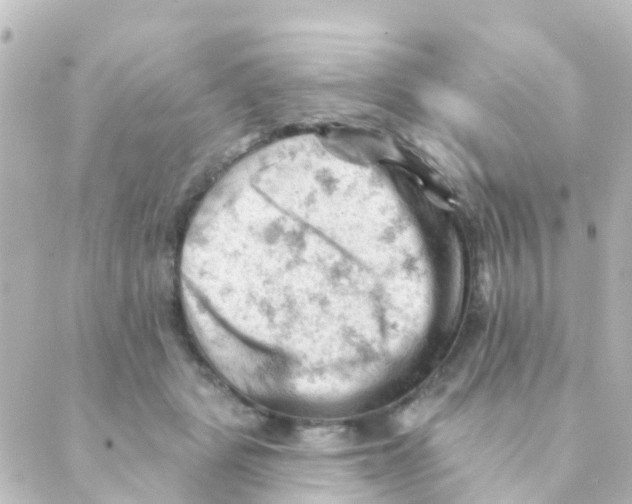 X0000088650461200706221615