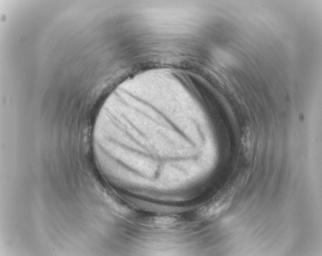 X0000088650462200706221615